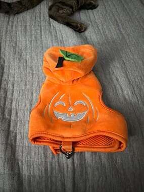 Thrills & Chills Halloween Jack-o-Lantern Pumpkin Pet Vest Harness